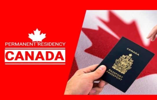 How To Become A Permanent Resident Of Canada   CANAA 